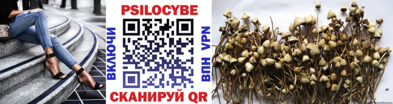 Псилоцибиновые грибы MAGIC MUSHROOMS  Весьегонск 